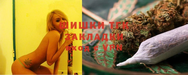 Альфа ПВП Дмитриев