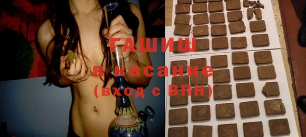 стаф Дмитров