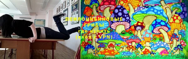 меф Дмитровск