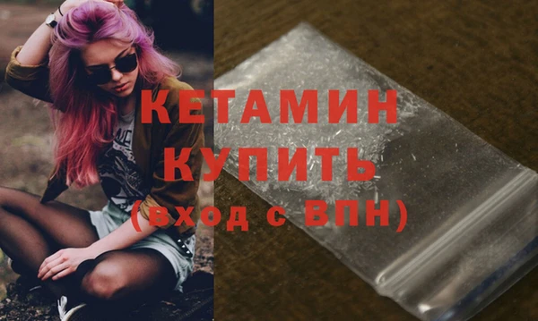 стаф Дмитров