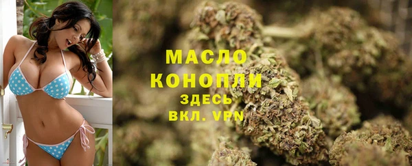 Альфа ПВП Дмитриев