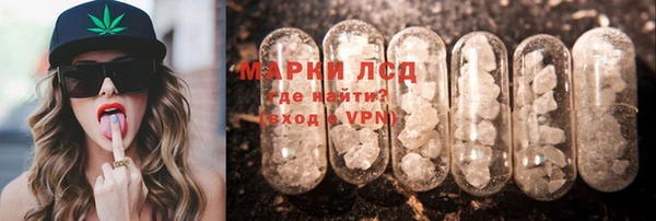 стаф Дмитров
